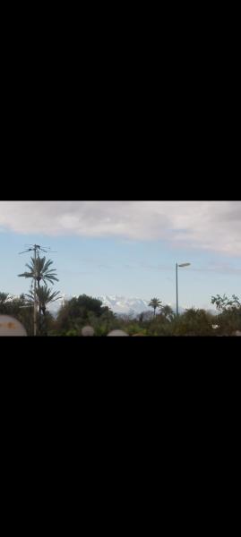 Apparemment a Marrakech très agr